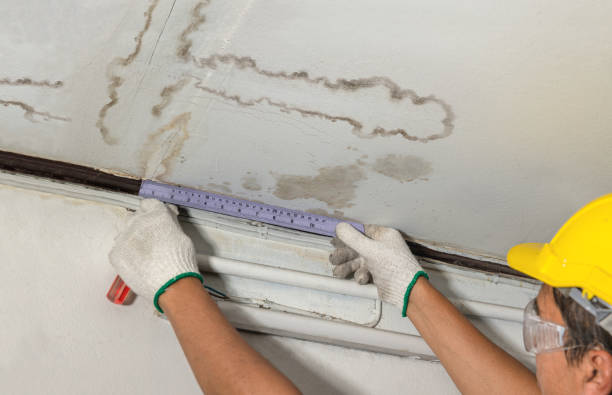 Reliable Burst Pipe Cleanup contractor in Maud, OK by Water Damage Irwin